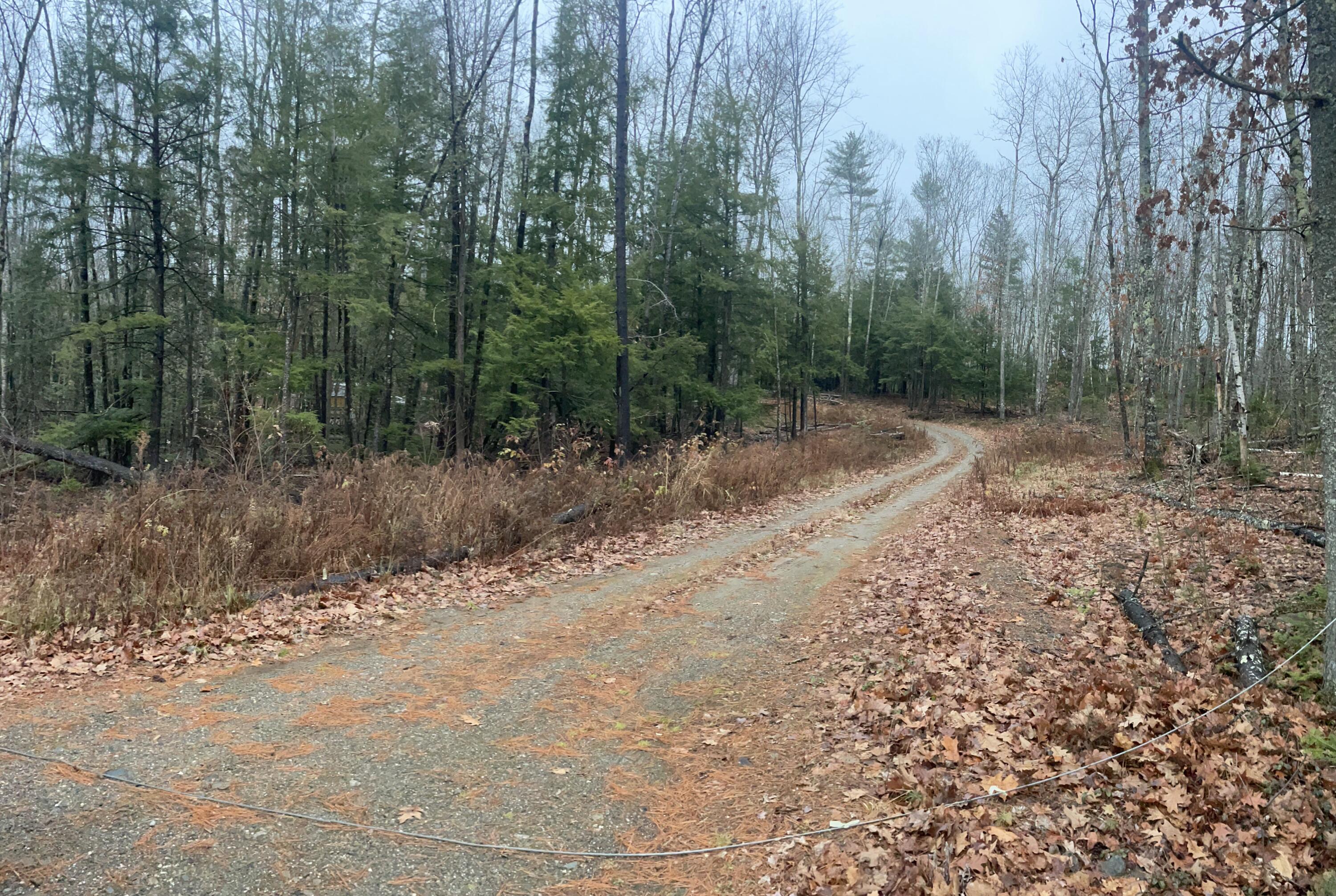 1651 Swan Lake Avenue Swanville ME 04915