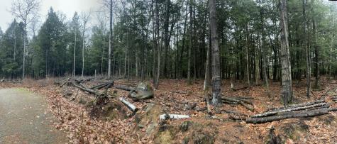 1651 Swan Lake Avenue Swanville ME 04915