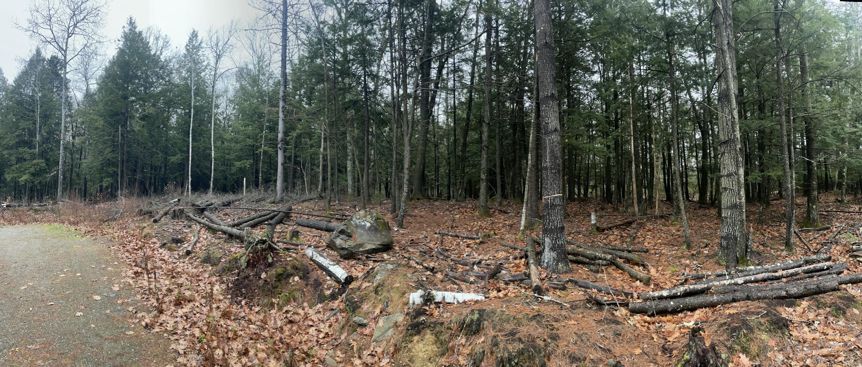 1651 Swan Lake Avenue Swanville ME 04915