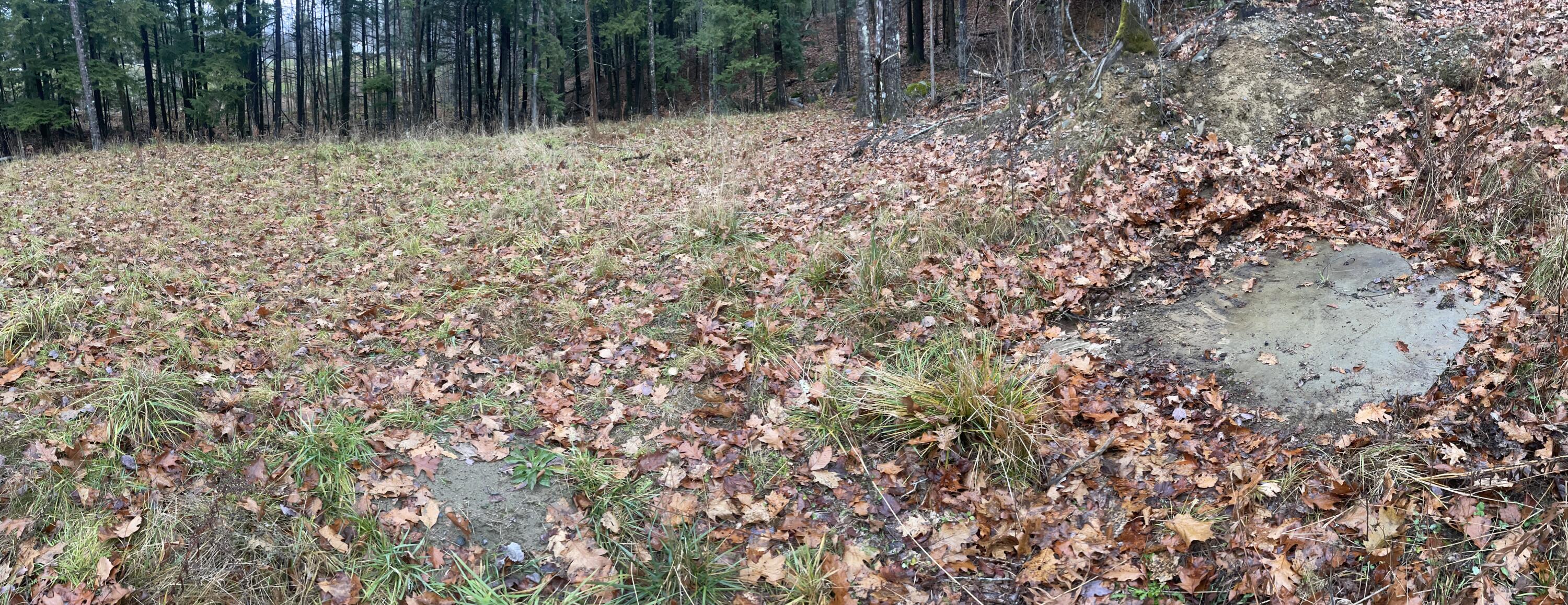 1651 Swan Lake Avenue Swanville ME 04915