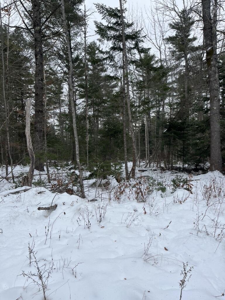 M4L3,5 Fickett Road Etna ME 04434