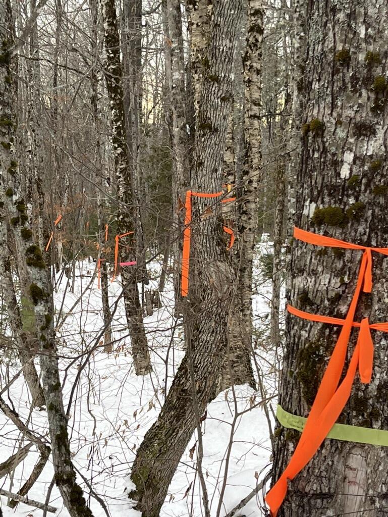 M4L3,5 Fickett Road Etna ME 04434