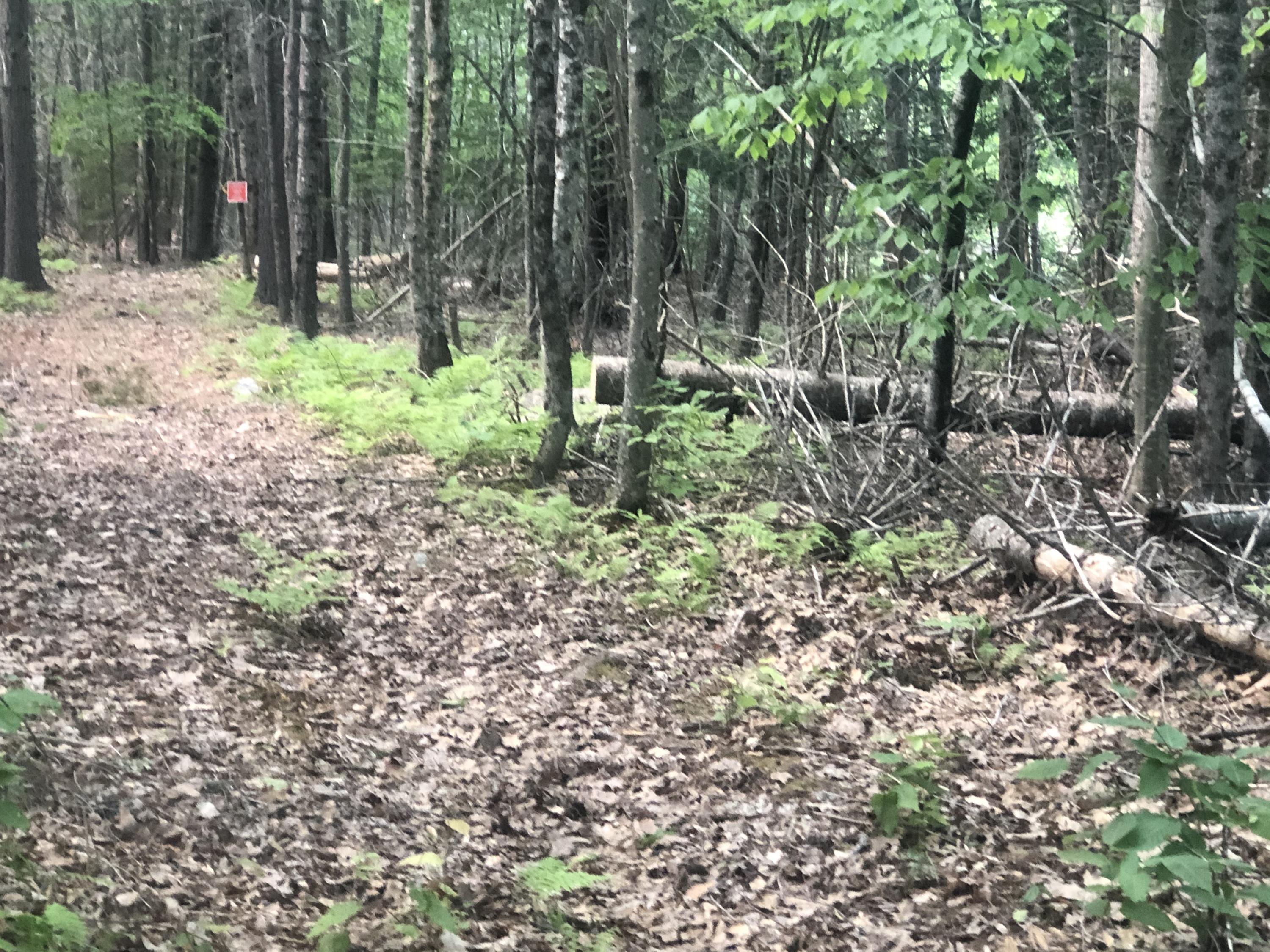 Lot 28 34 Chemo Pond Road Eddington, ME