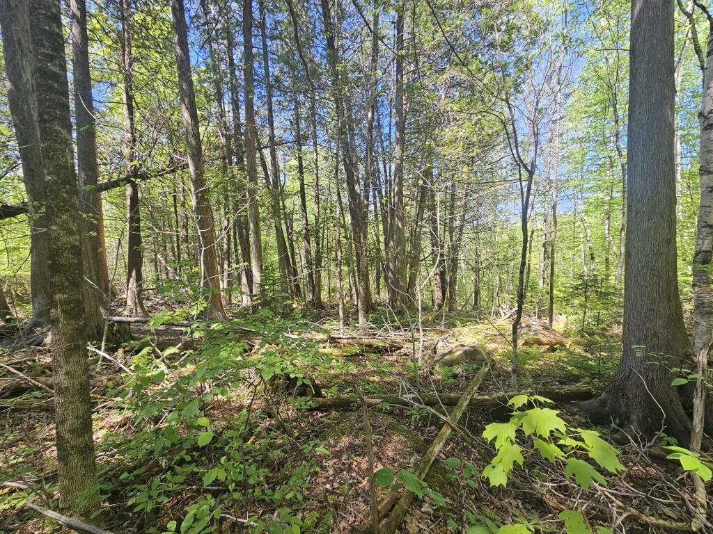 21 Jewett Way Hanover ME 04237
