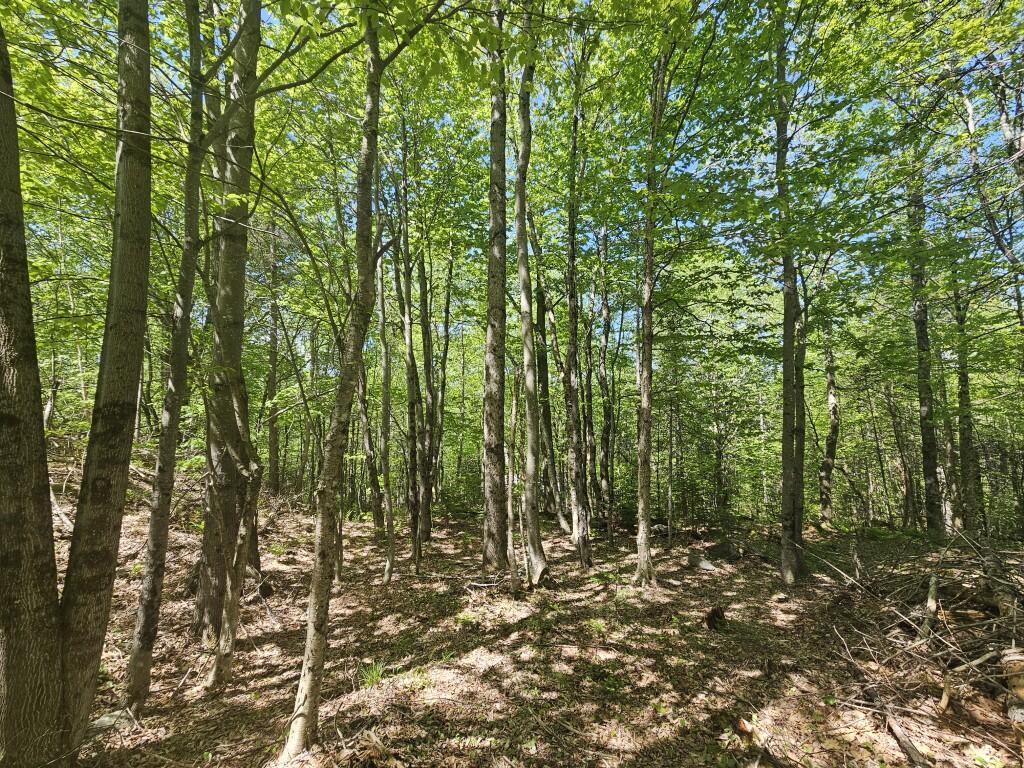 21 Jewett Way Hanover ME 04237