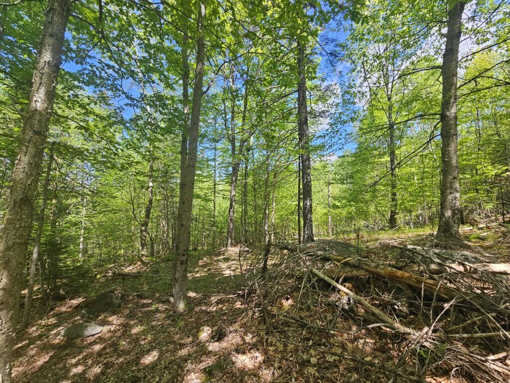 21 Jewett Way Hanover ME 04237