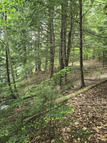 48 Town Pound Road Porter ME 04068