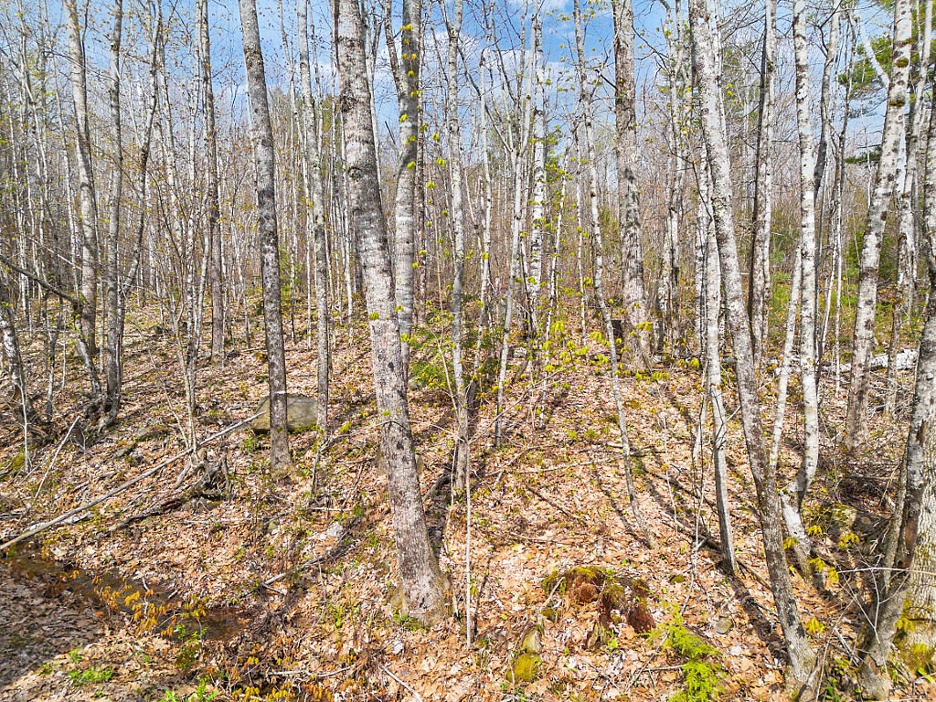 501 Noyes Road Waldoboro ME 04572