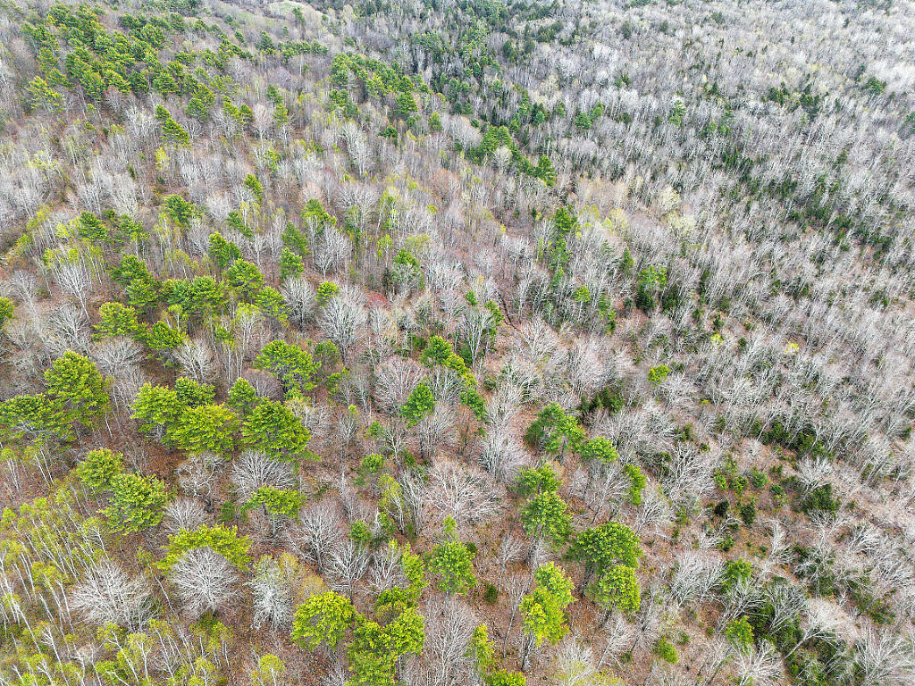 501 Noyes Road Waldoboro ME 04572