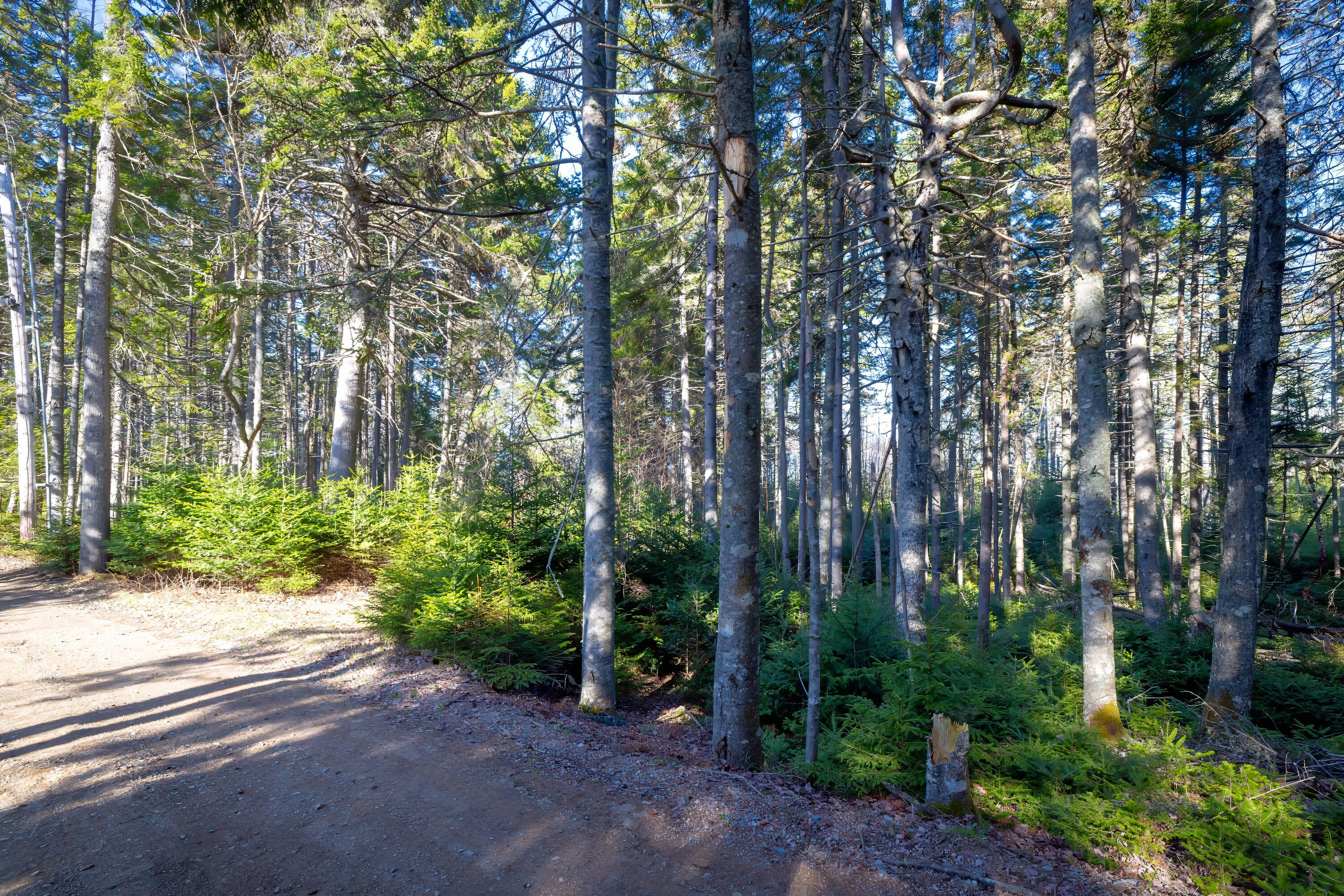 Lot 17 Wilderness Shore Road S Steuben ME 04680
