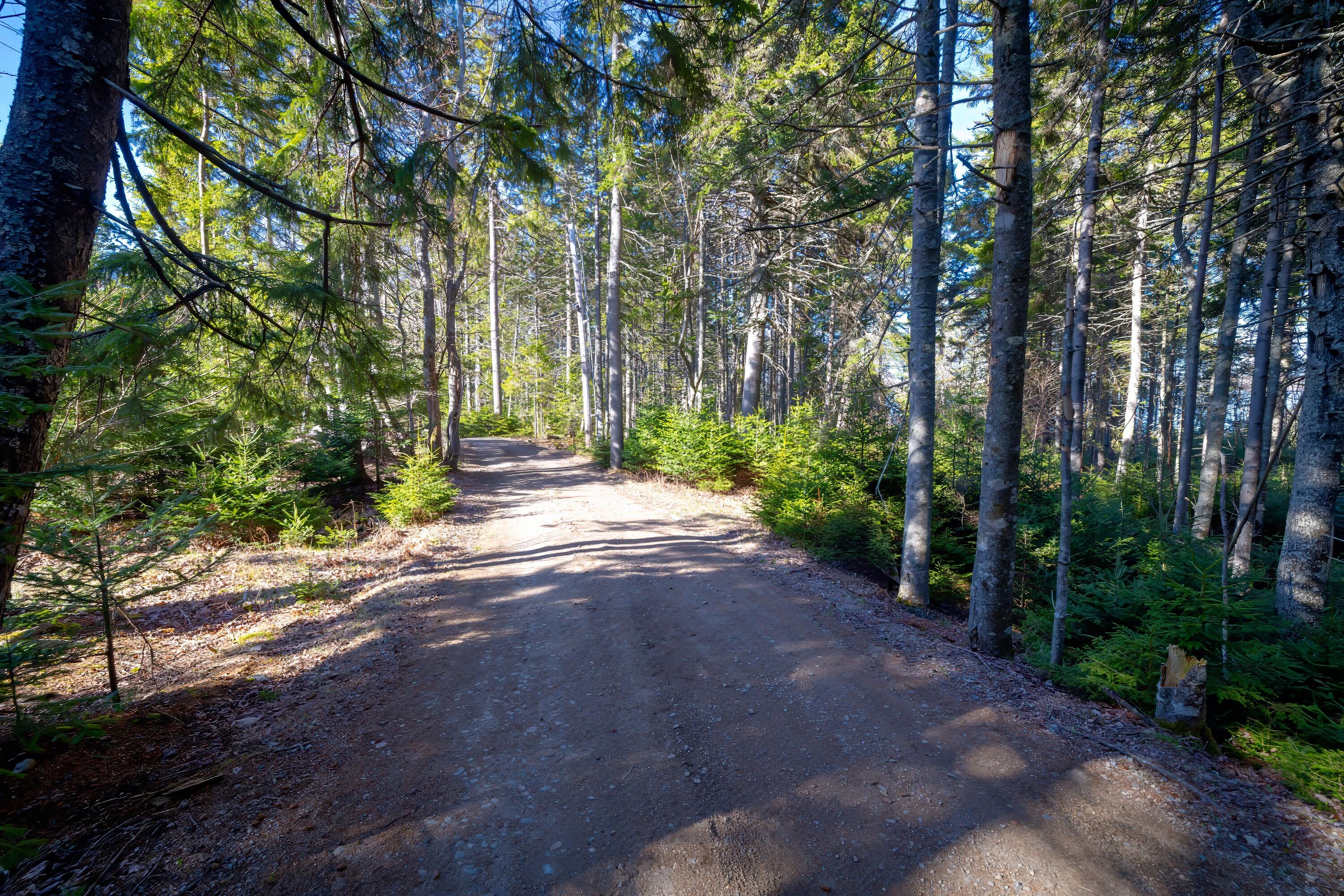 Lot 17 Wilderness Shore Road S Steuben ME 04680