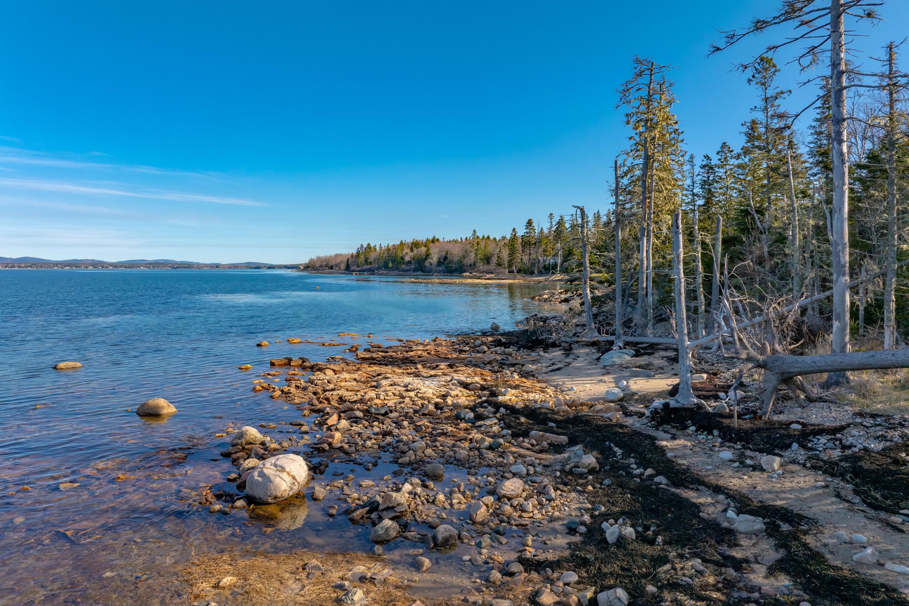 Lot 17 Wilderness Shore Road S Steuben ME 04680