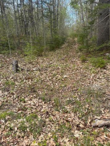 M23 L14 Unionville Road Steuben ME 04680