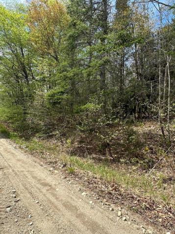M23 L14 Unionville Road Steuben ME 04680