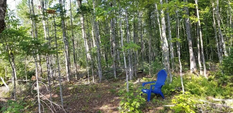 Lot 8 Winter Hill Lane Monson ME 04464