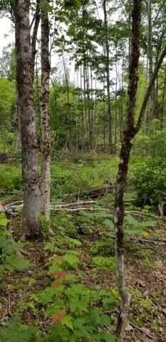 Lot 8 Winter Hill Lane Monson ME 04464