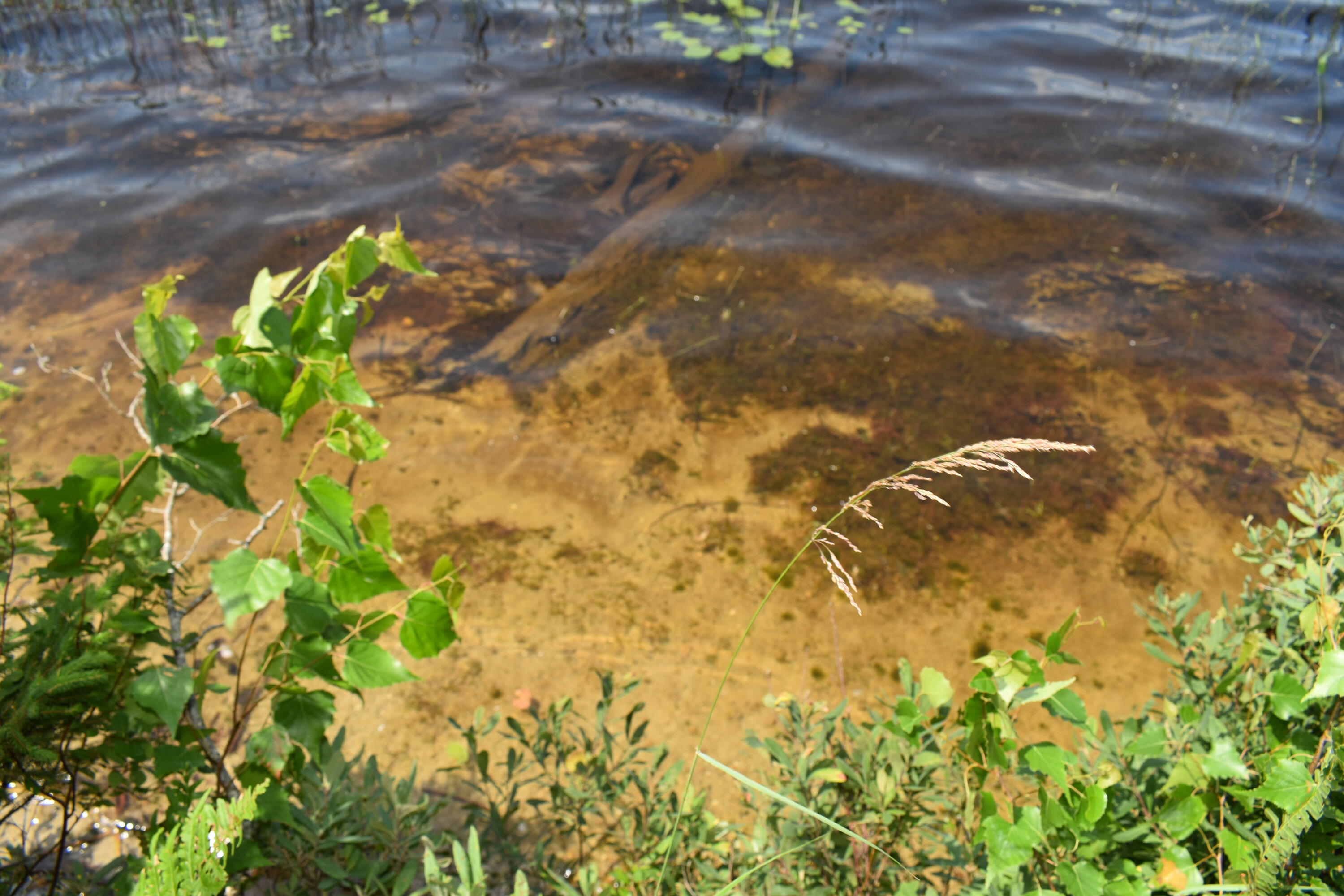 Lot 7 Wilderness Way S Wesley ME 04686