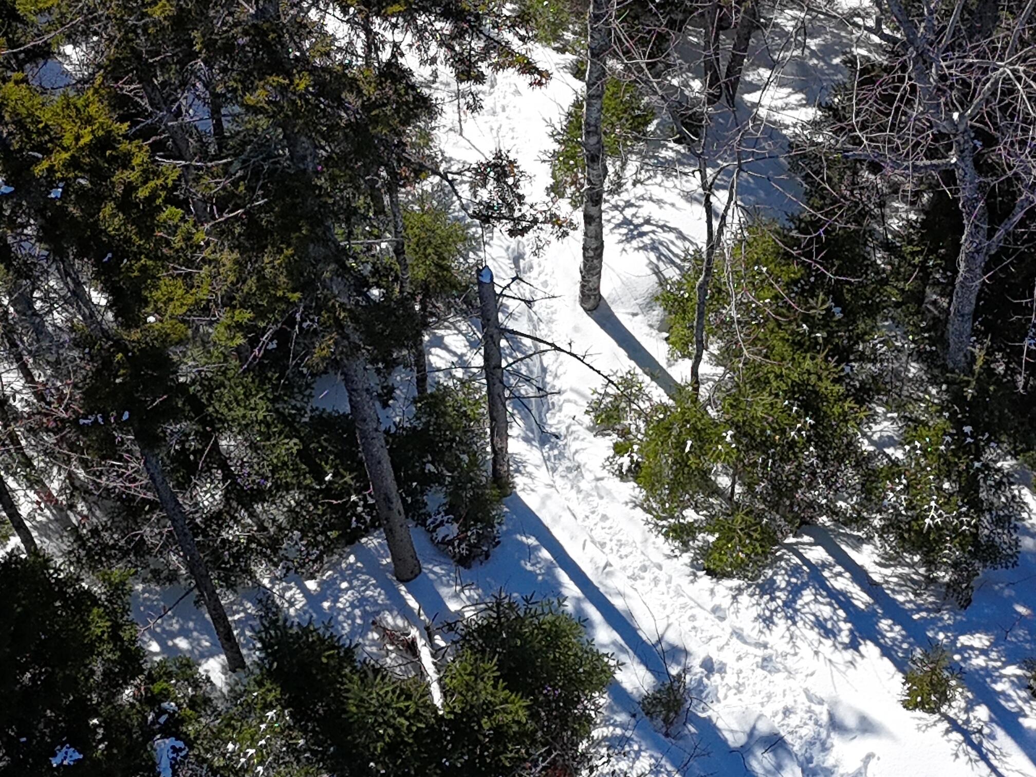 2020, 2022 Pond Road Carrabassett Valley ME 04947
