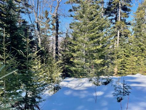 2020, 2022 Pond Road Carrabassett Valley ME 04947