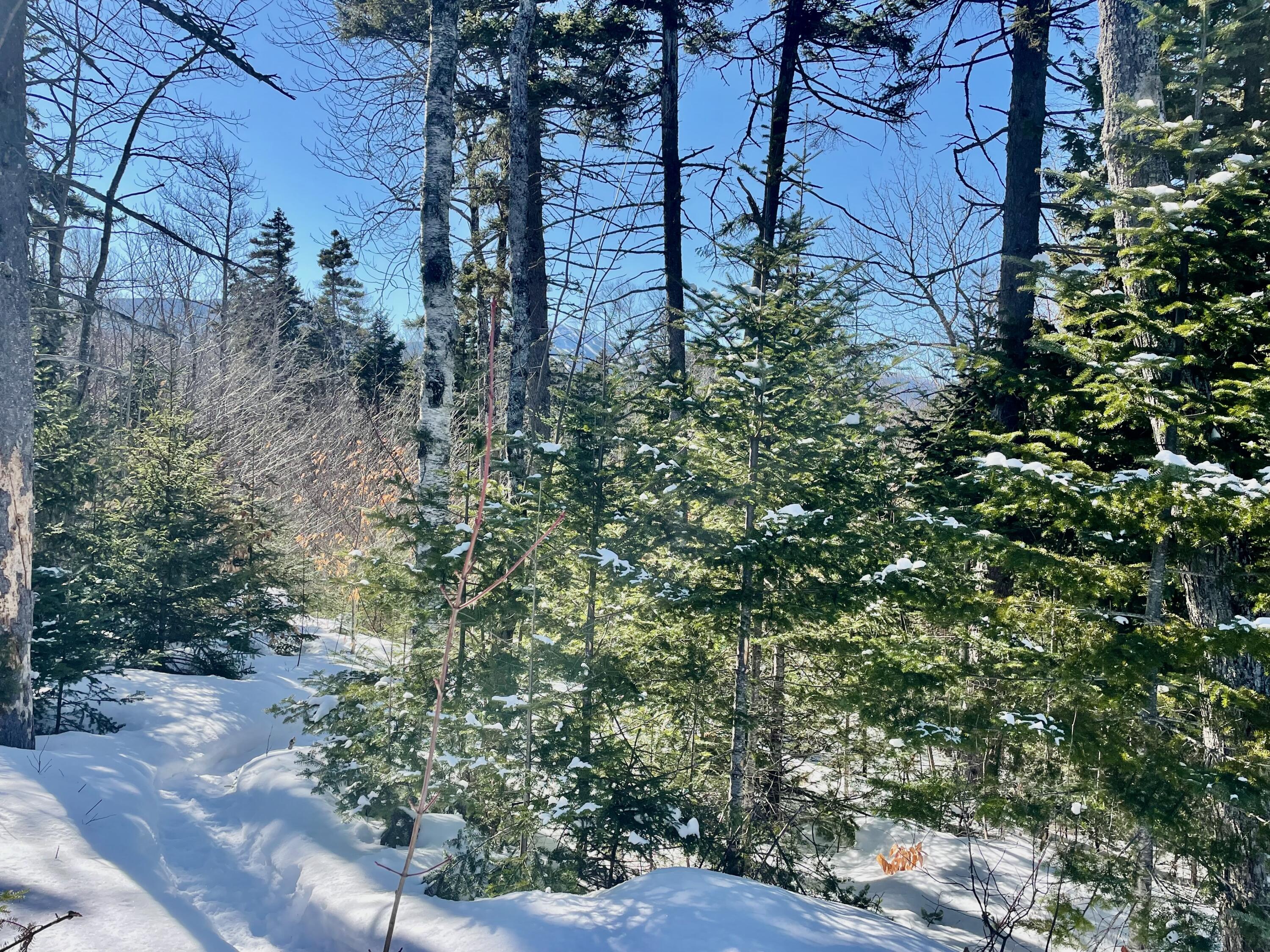 2020, 2022 Pond Road Carrabassett Valley ME 04947