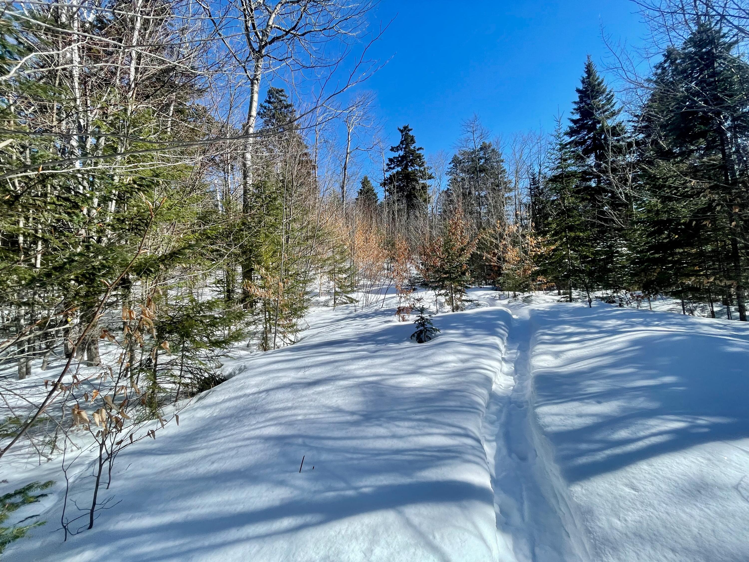 2020, 2022 Pond Road Carrabassett Valley ME 04947