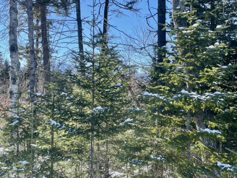 2020, 2022 Pond Road Carrabassett Valley ME 04947