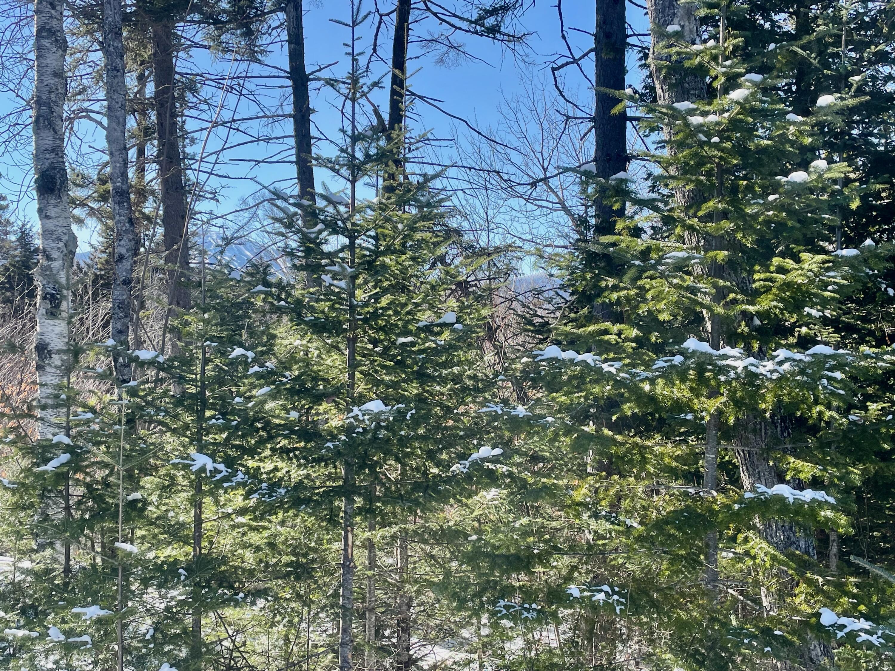 2020, 2022 Pond Road Carrabassett Valley ME 04947