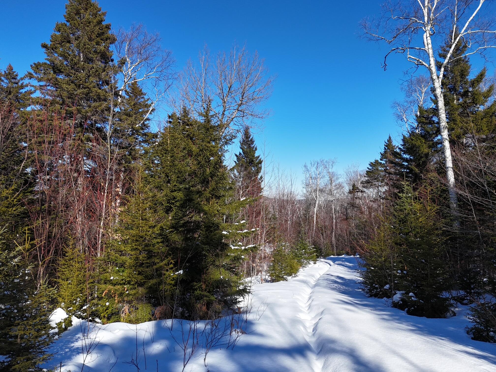 2020, 2022 Pond Road Carrabassett Valley ME 04947