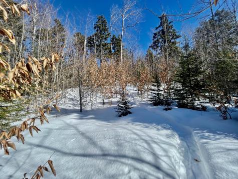 2020, 2022 Pond Road Carrabassett Valley ME 04947