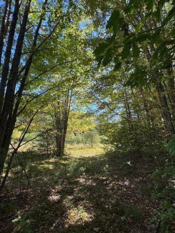 Lot 1 Oak Hill Road Smithfield ME 04978