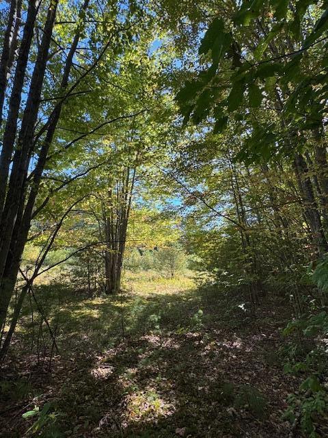 Lot 1 Oak Hill Road Smithfield ME 04978