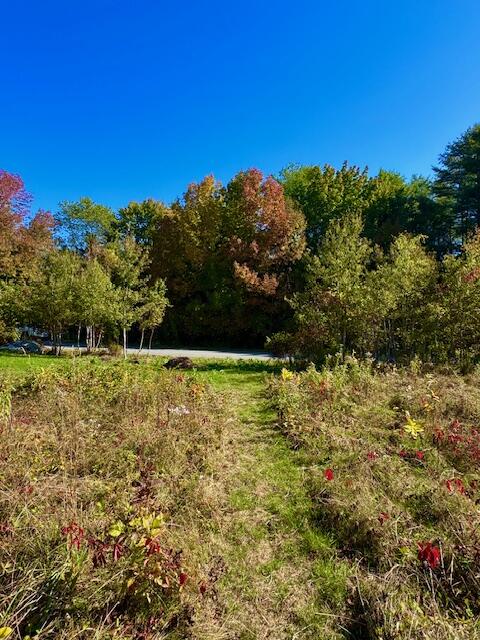 Lot 1 Oak Hill Road Smithfield ME 04978