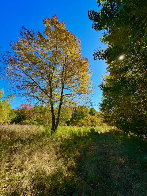 Lot 1 Oak Hill Road Smithfield ME 04978