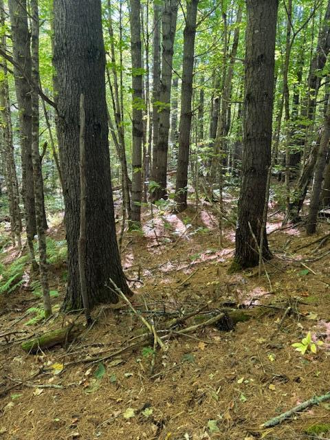 Lot 1 Oak Hill Road Smithfield ME 04978