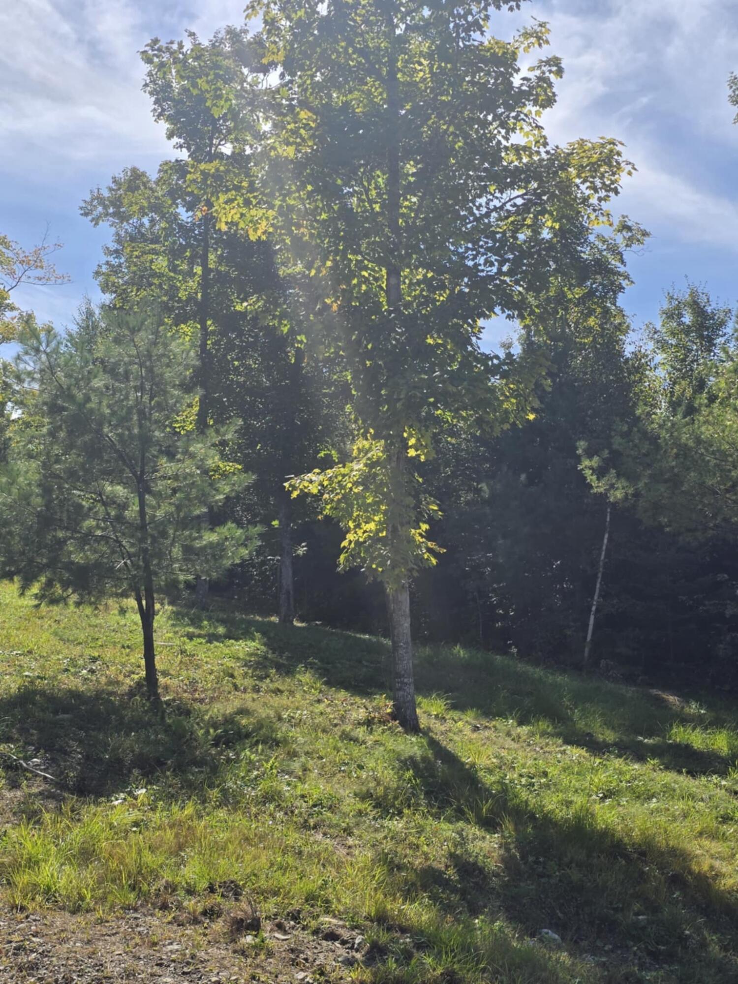 5 High Ground Road Freeman Twp ME 04947