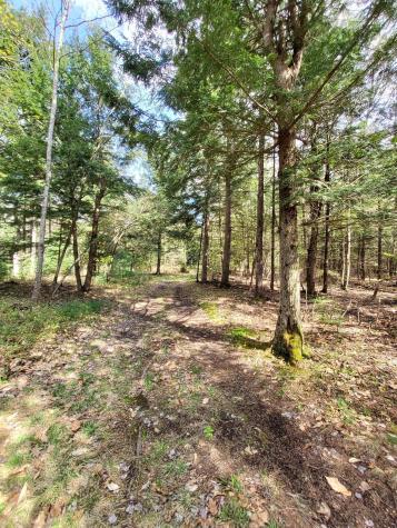 1729 Federal Road & Map U-5, Lot 12 Livermore ME 04253