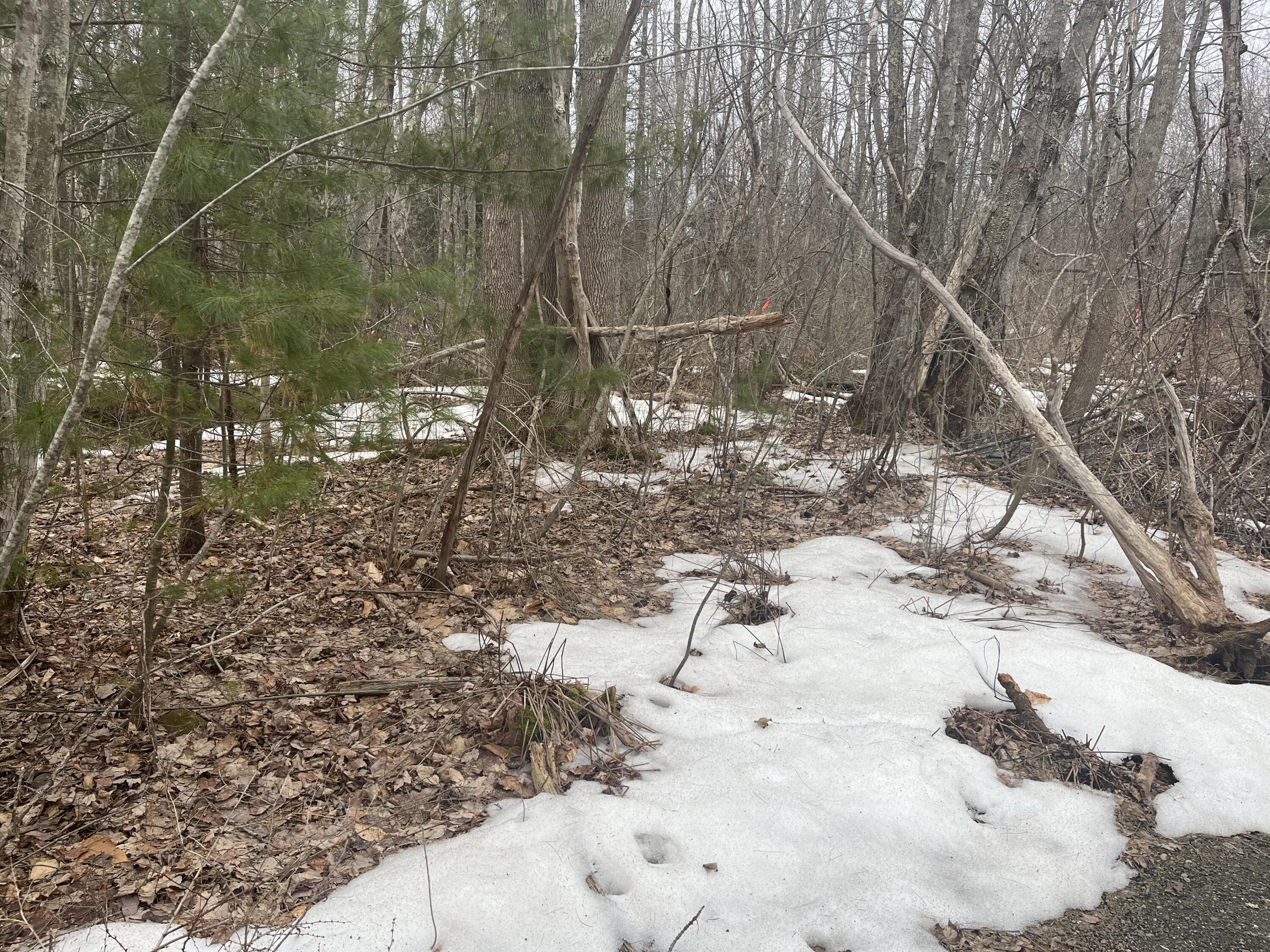 Map16 Lot4 Marsh Road Belfast ME 04915