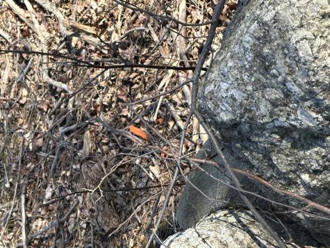 457 Bangor Road Ellsworth ME 04605