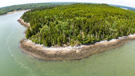 Lots 2&4 Looks Cemetery Road Jonesboro ME 04648