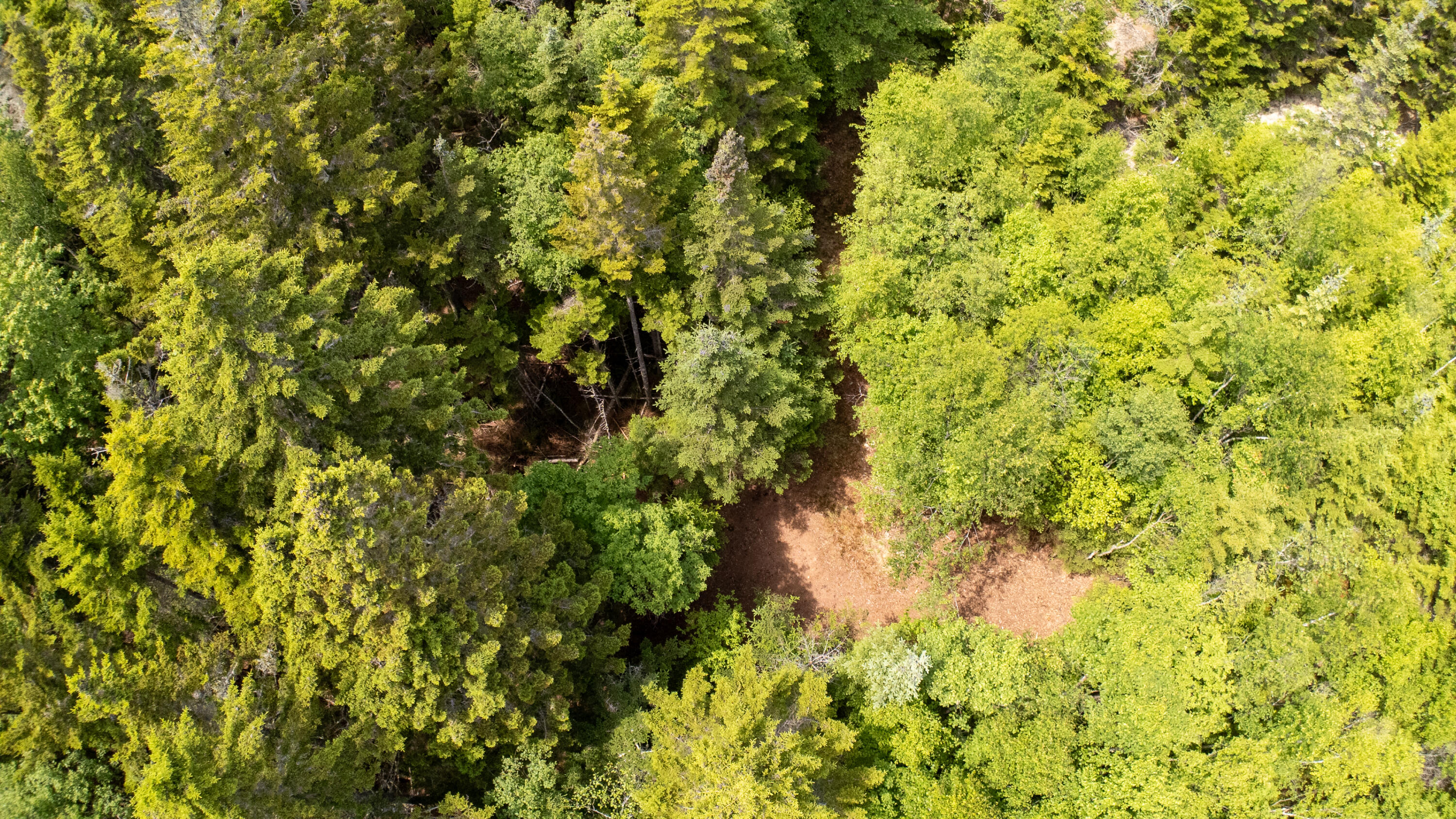 Lots 2&4 Looks Cemetery Road Jonesboro ME 04648