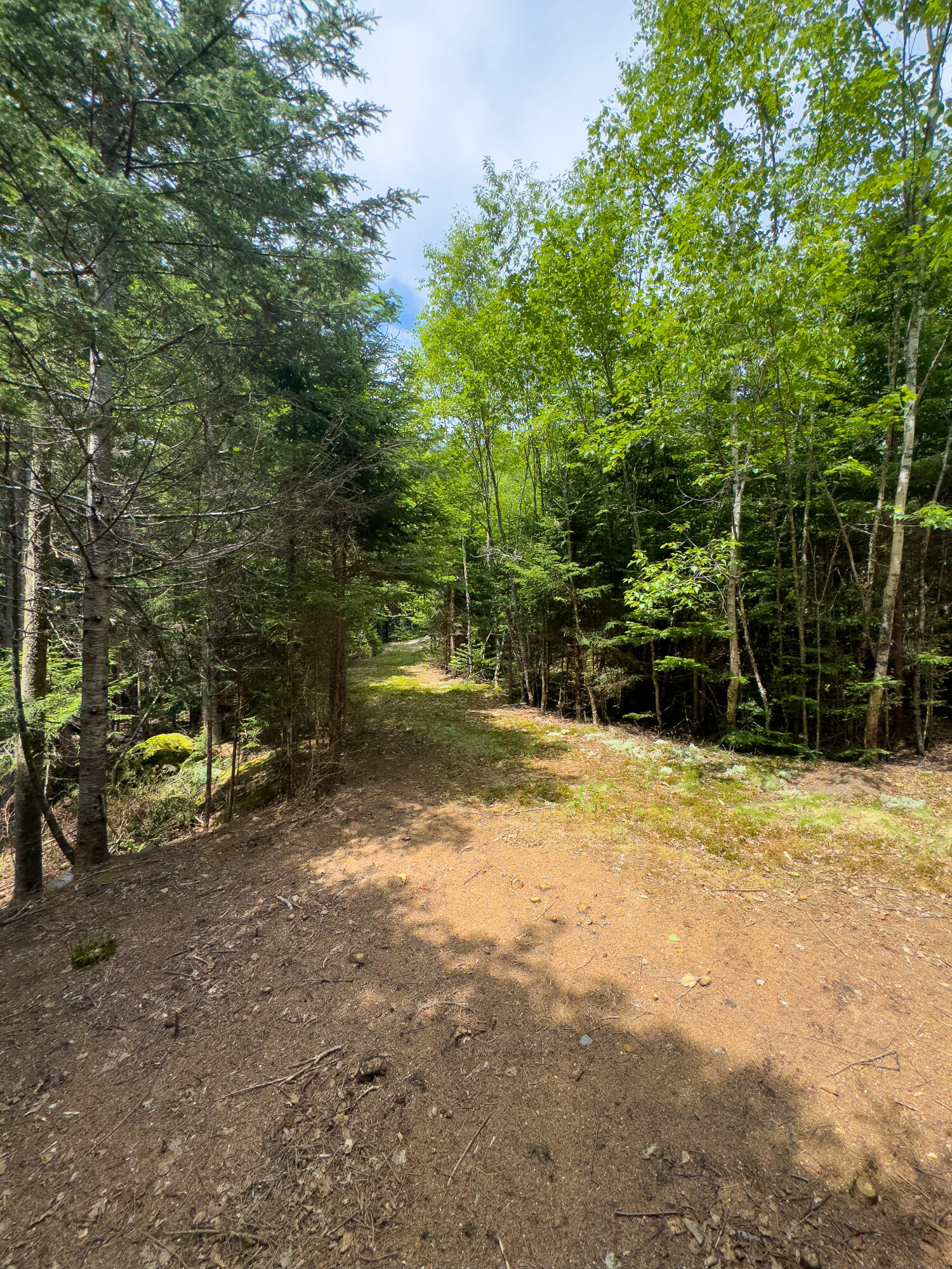 Lots 2&4 Looks Cemetery Road Jonesboro ME 04648