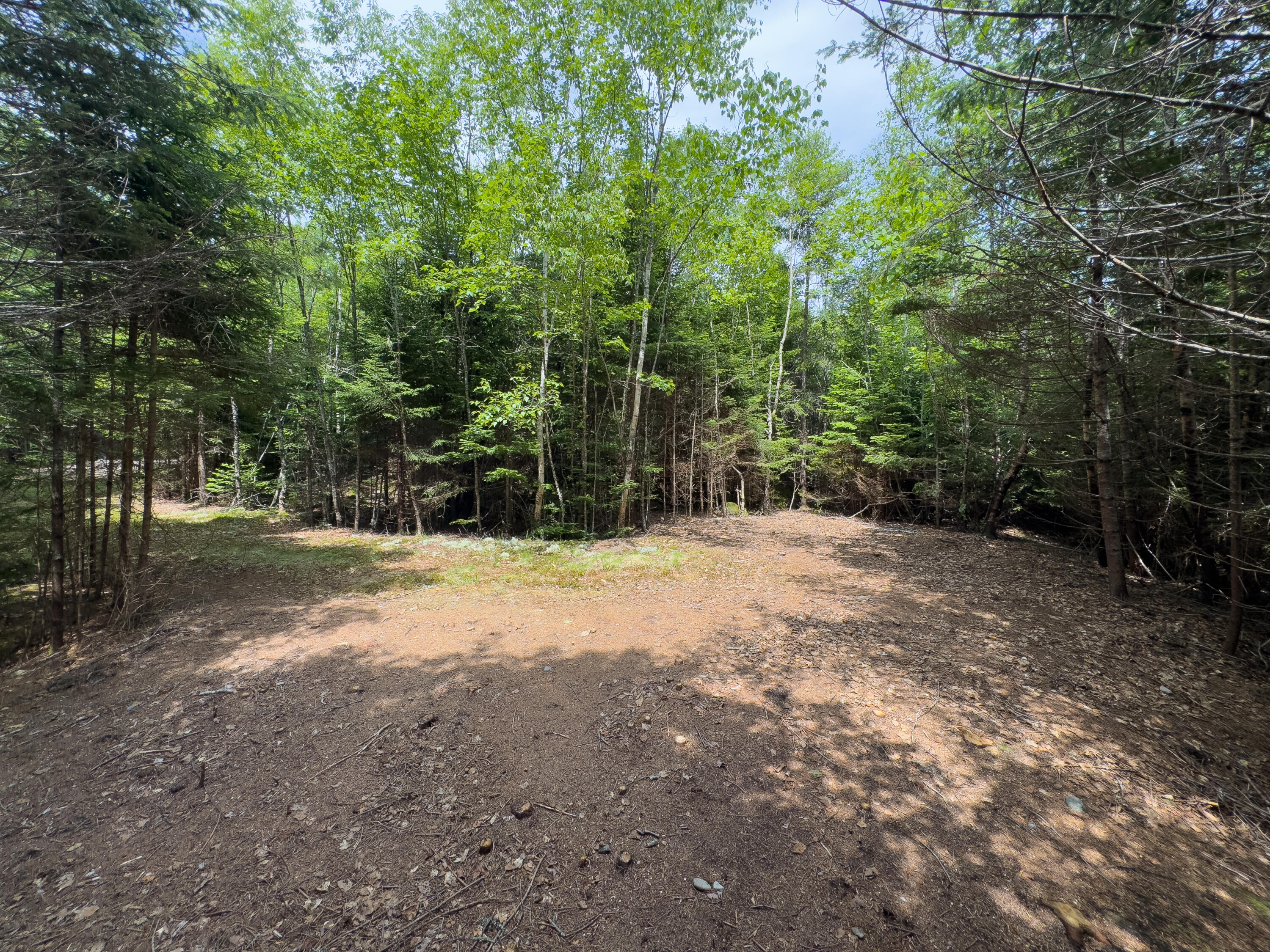 Lots 2&4 Looks Cemetery Road Jonesboro ME 04648