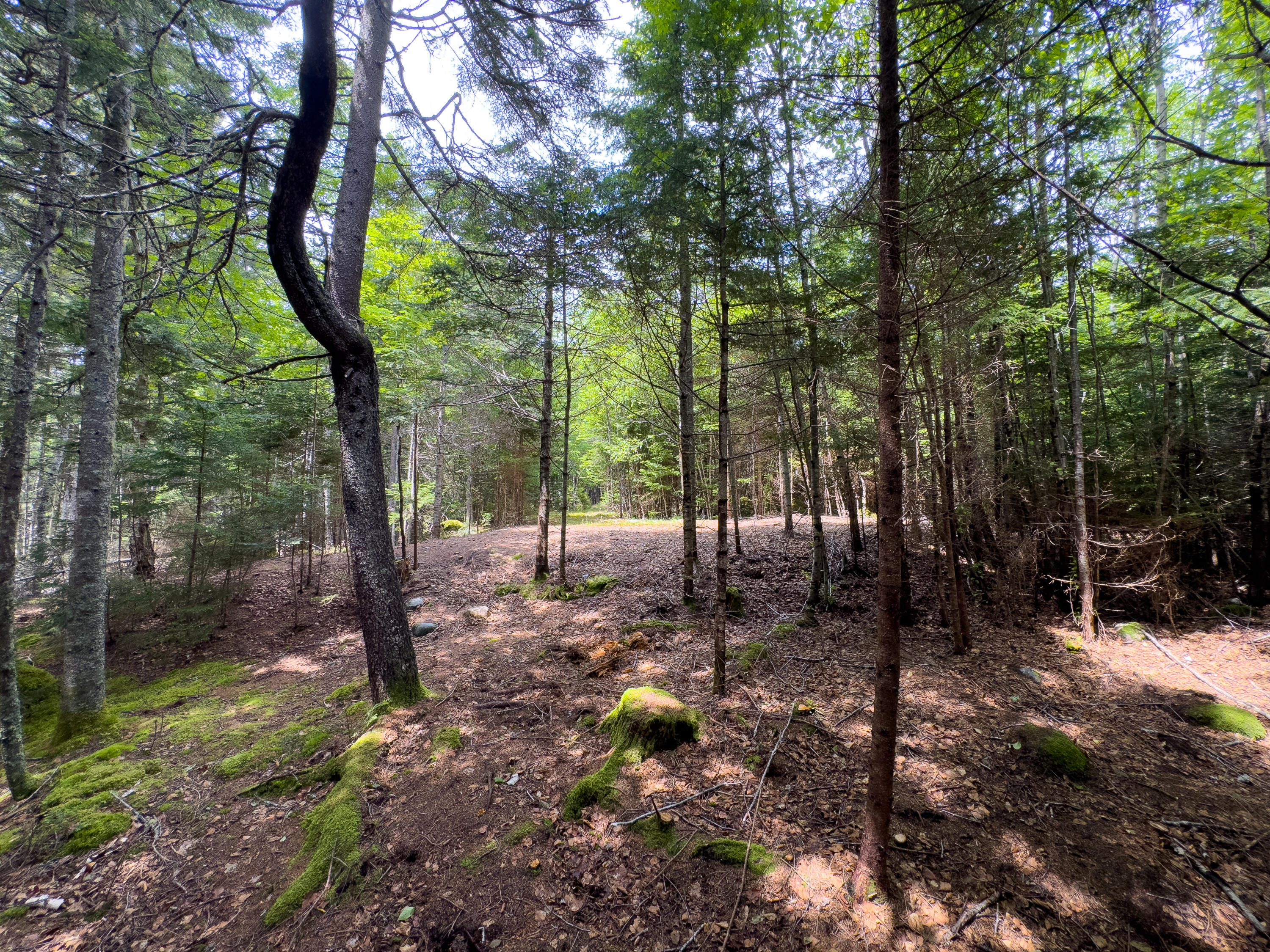 Lots 2&4 Looks Cemetery Road Jonesboro ME 04648