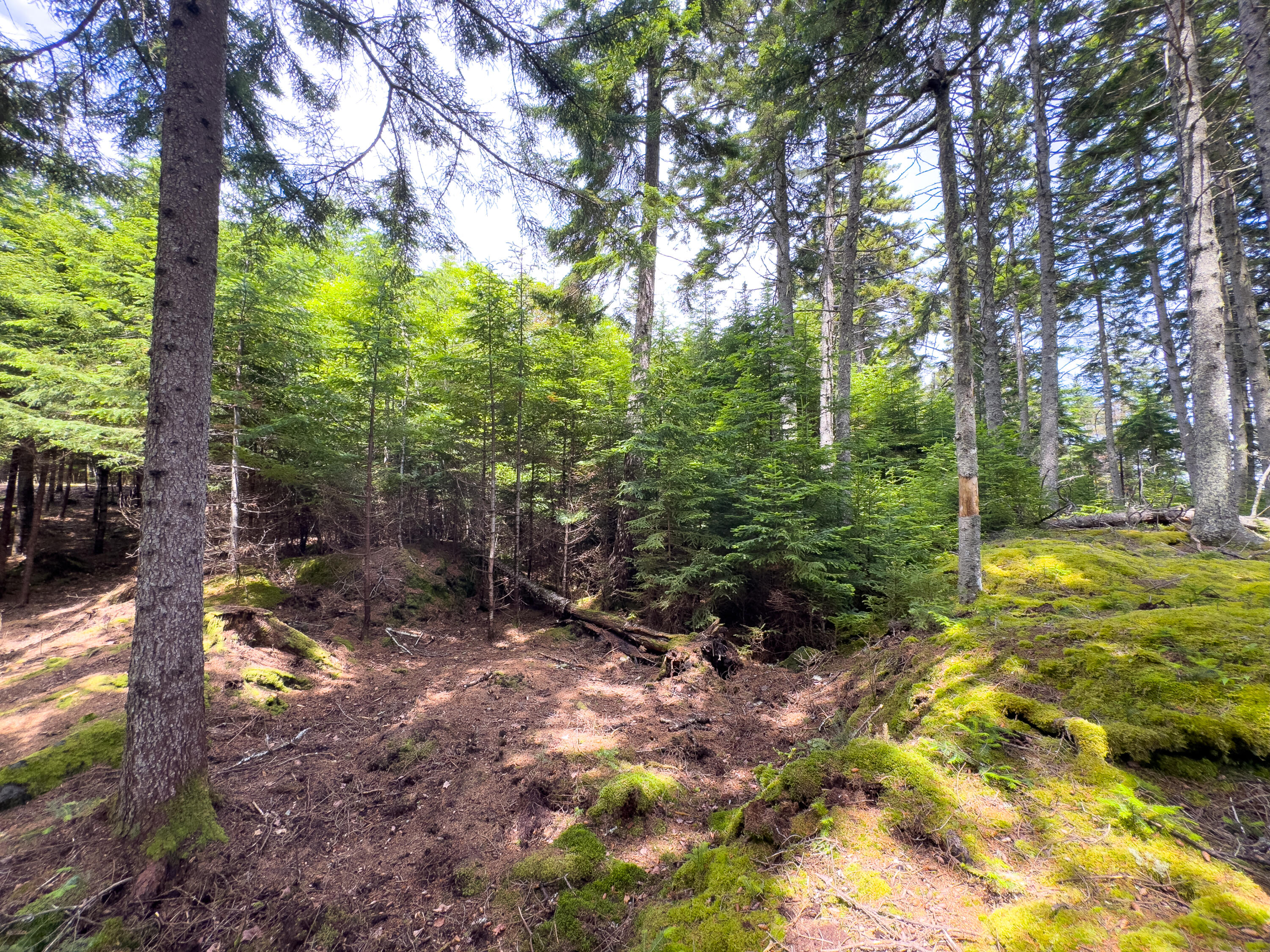 Lots 2&4 Looks Cemetery Road Jonesboro ME 04648