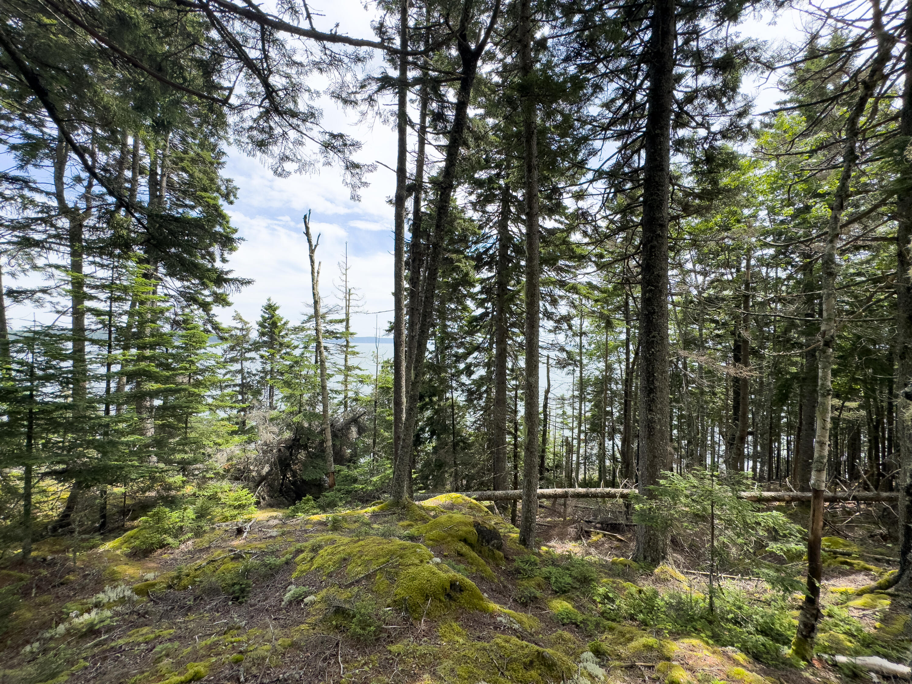 Lots 2&4 Looks Cemetery Road Jonesboro ME 04648