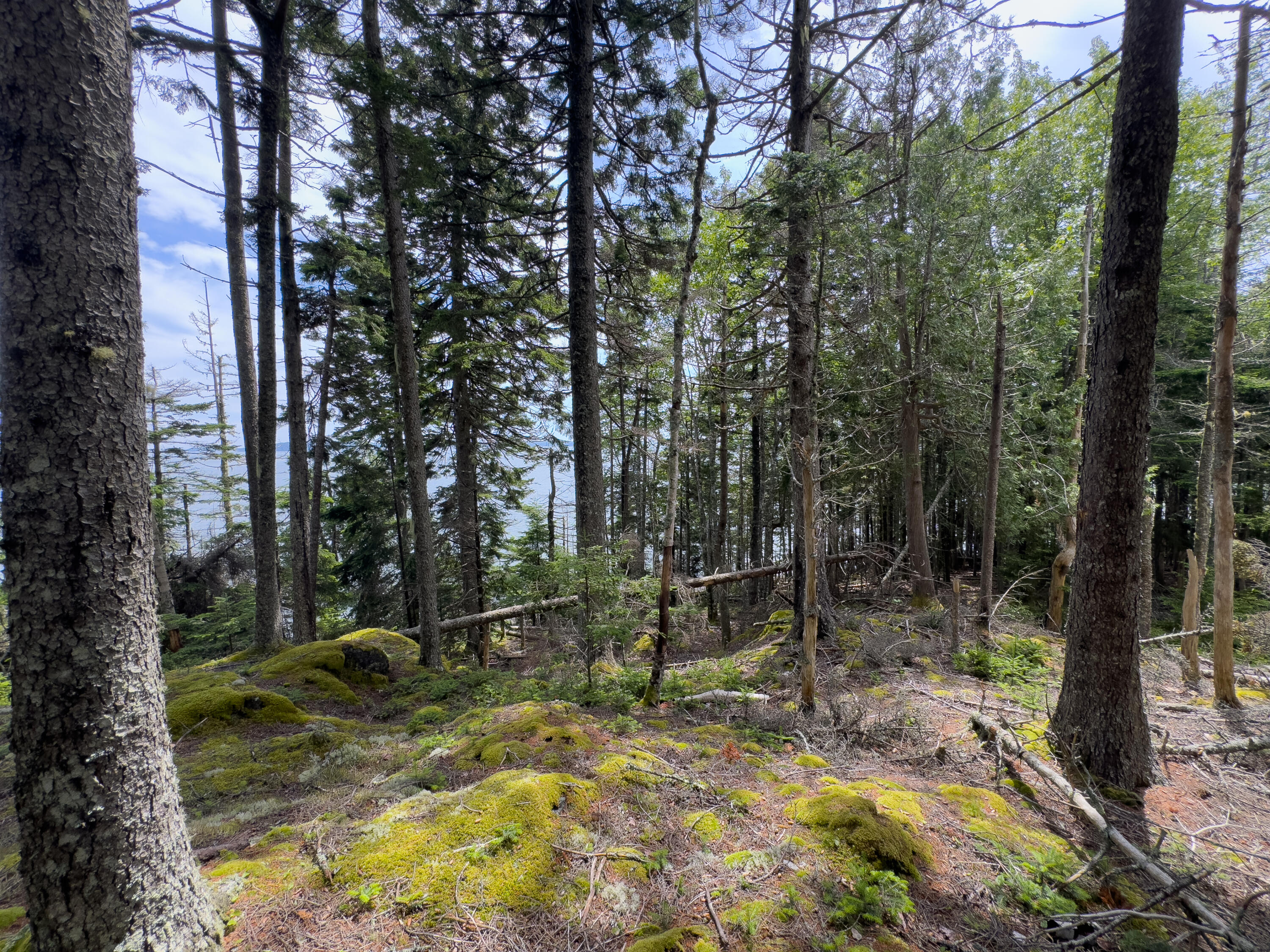 Lots 2&4 Looks Cemetery Road Jonesboro ME 04648