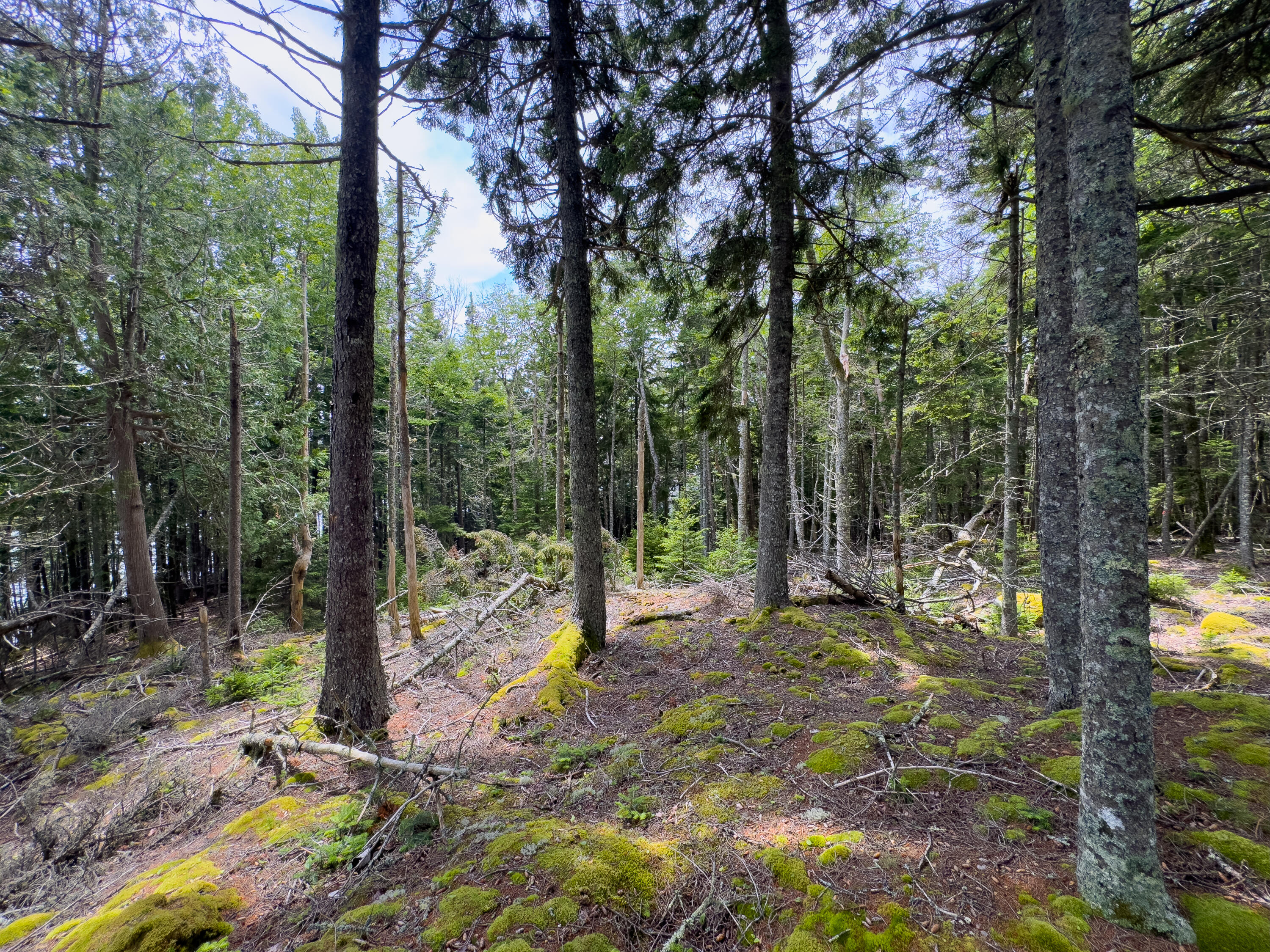 Lots 2&4 Looks Cemetery Road Jonesboro ME 04648