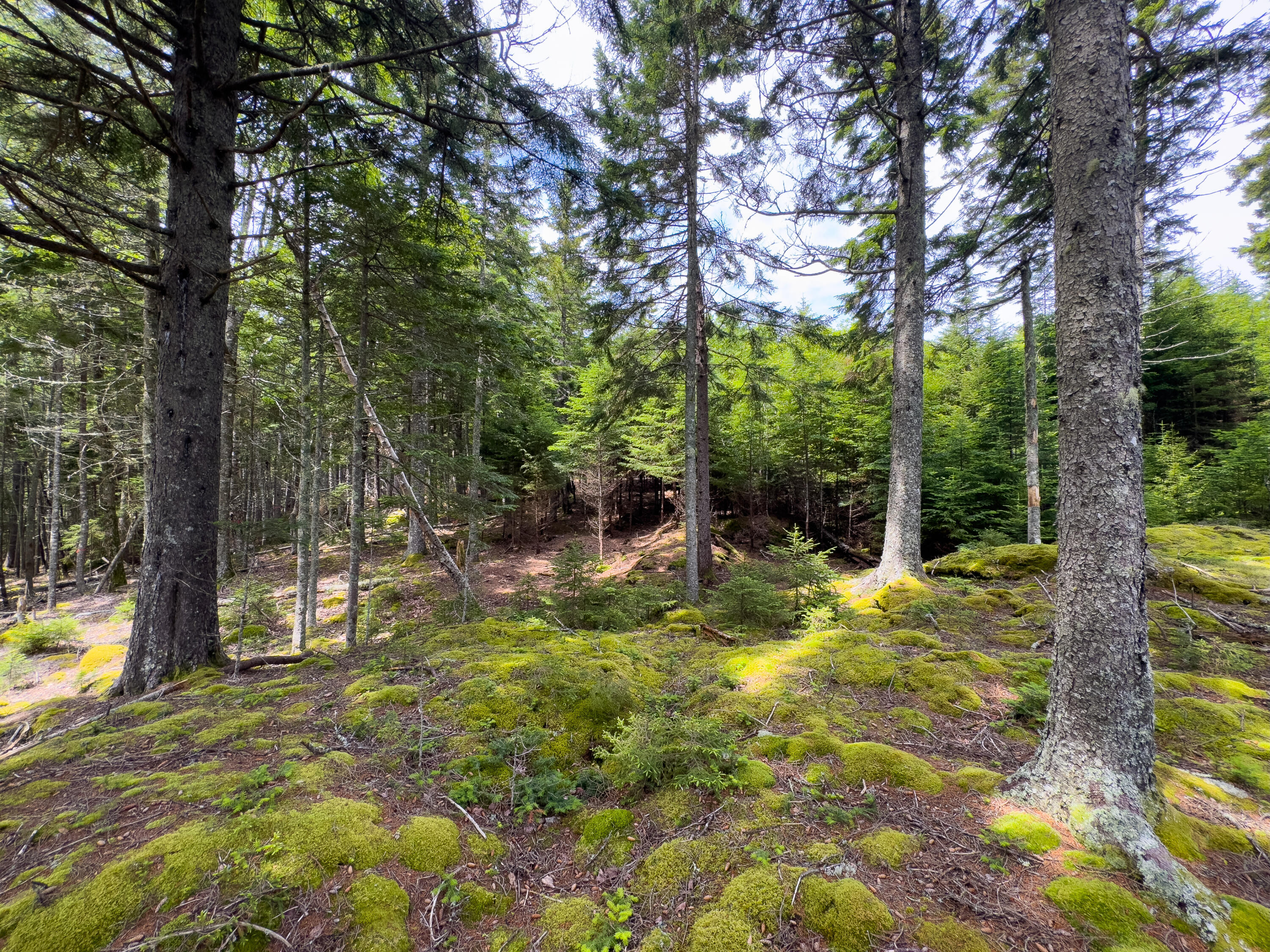 Lots 2&4 Looks Cemetery Road Jonesboro ME 04648