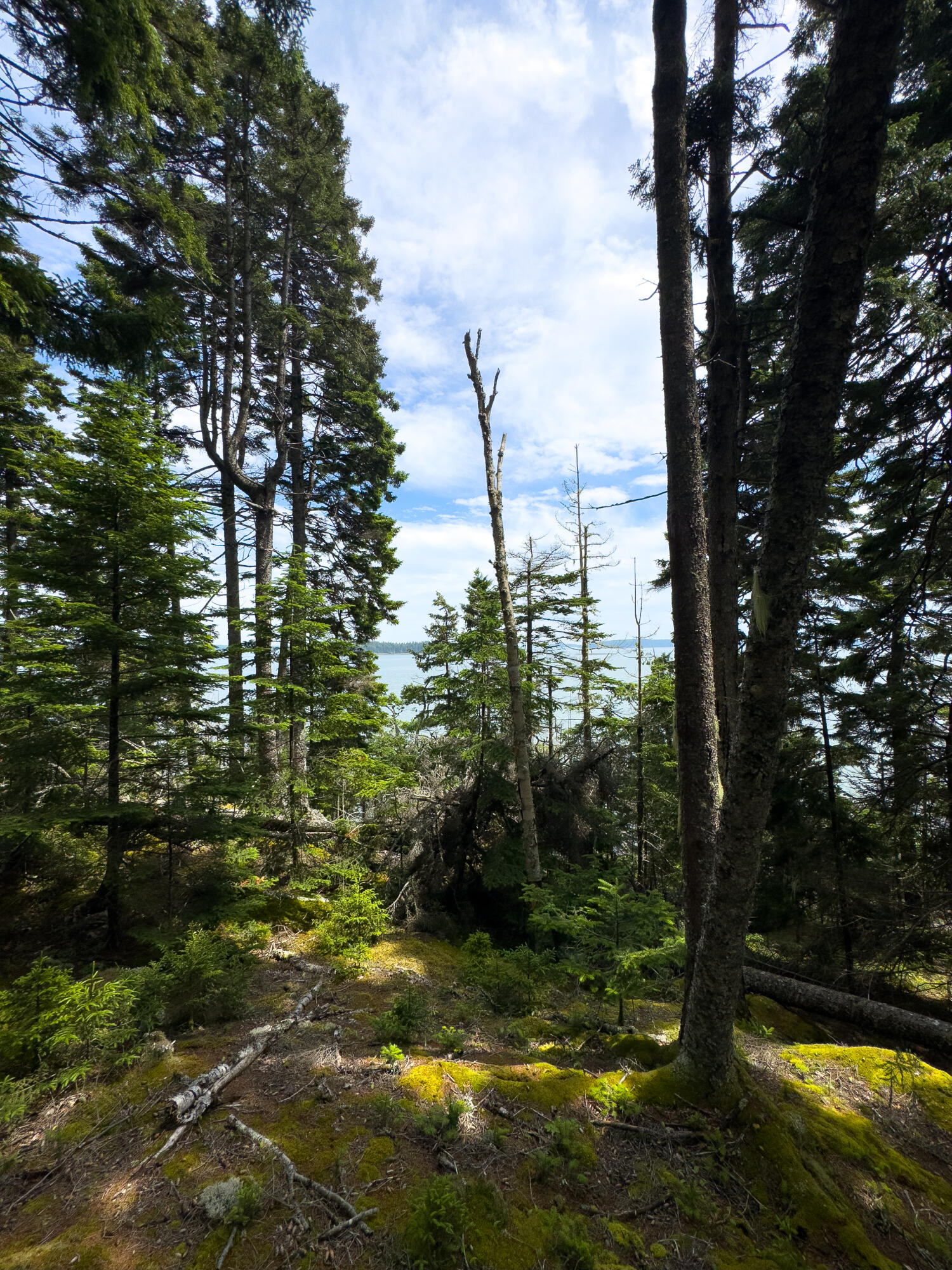 Lots 2&4 Looks Cemetery Road Jonesboro ME 04648