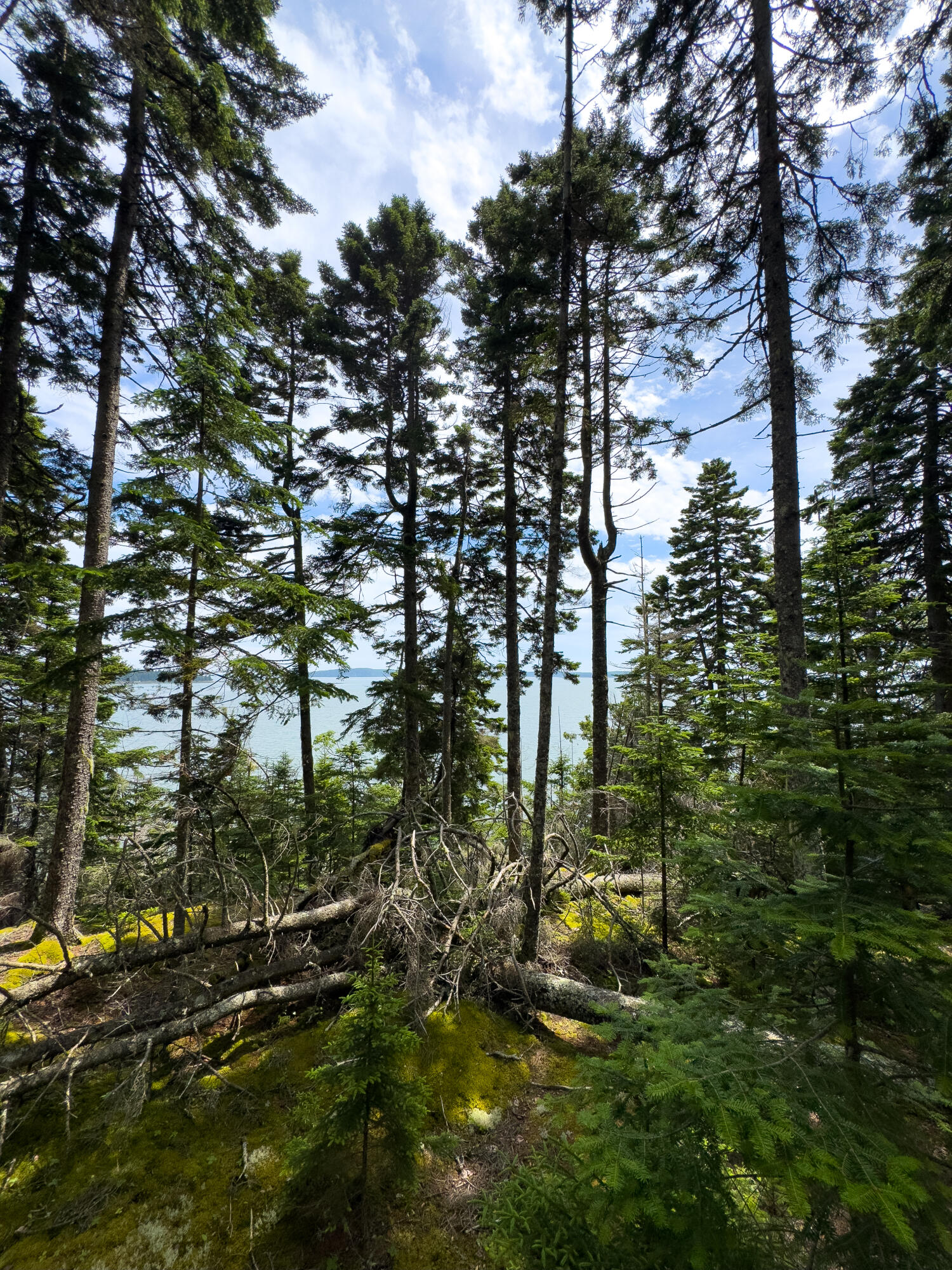 Lots 2&4 Looks Cemetery Road Jonesboro ME 04648